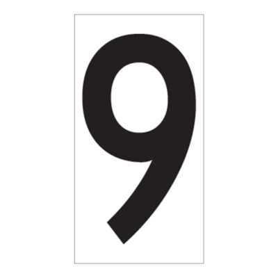 02FIG9BW4.jpg