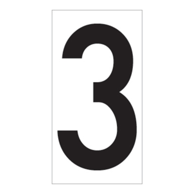 02FIG3BW2.jpg