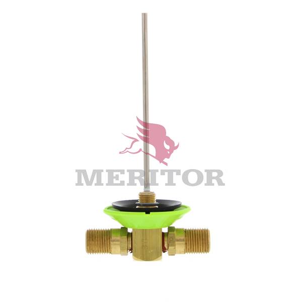 20MERR3131704.jpg